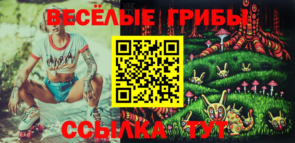 Галлюциногенные грибы GOLDEN TEACHER Магнитогорск