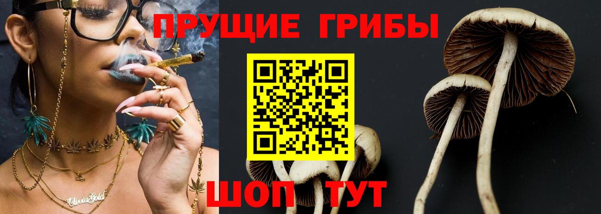 Галлюциногенные грибы прущие грибы  Вход с VPN  Галлюциногенные грибы Psilocybine cubensis  Магнитогорск 